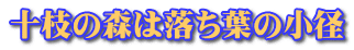 十枝の森は落ち葉の小径 